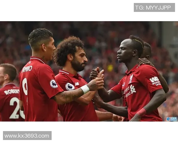 日本队足球星座排名分析揭示球员表现与潜力发展趋势